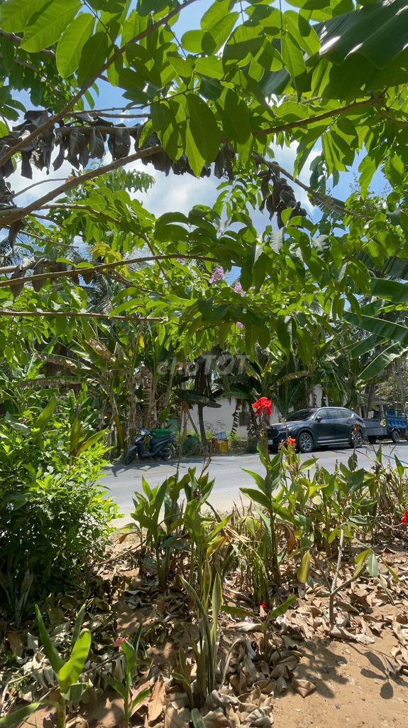 NHÀ MẶT TIỀN TL877B – GÓC 2 MẶT TIỀN ĐƯỜNG | 498m² THỔ CƯ CHỈ 1,5 TỶ 🔥